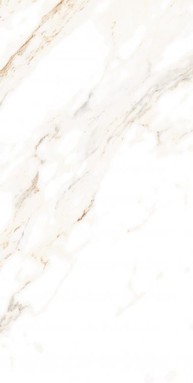 AGL Lusso Staturio Polished 12 x 24